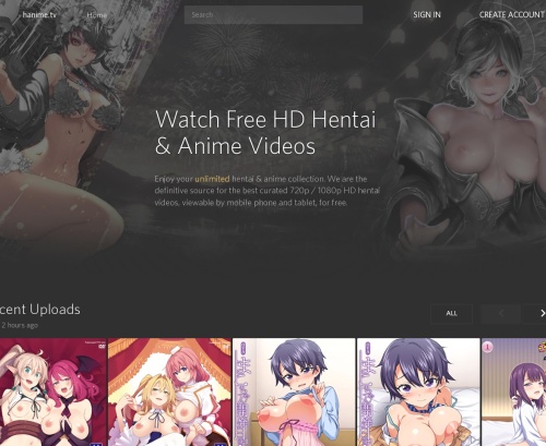 A Review Screenshot of Hanime.tv