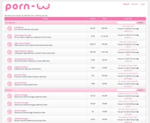 A Review Screenshot of Porn-W