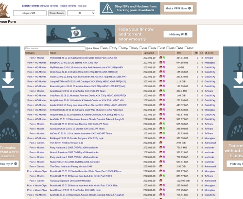 Review screenshot Thepiratebay.org