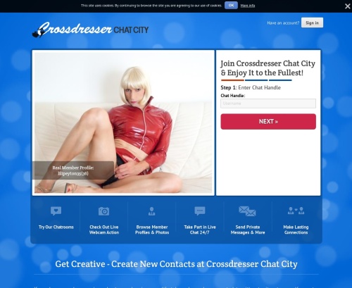 A Review Screenshot of Crossdresser Chat City