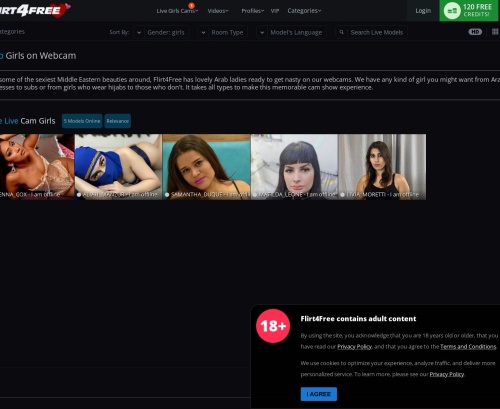 A Review Screenshot of Flirt4free Arab