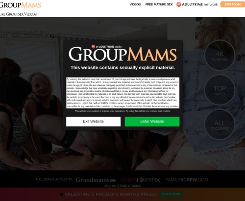 Review screenshot Groupmams.com