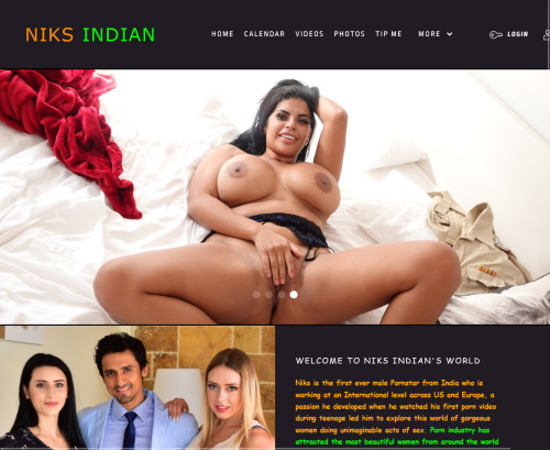 A Review Screenshot of NiksIndian