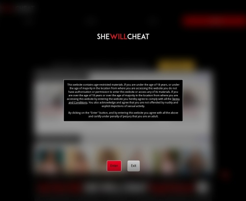 A Review Screenshot of SheWillCheat.com