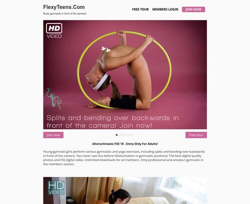 Review screenshot flexyteens.com