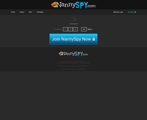 Review screenshot nannyspy.com