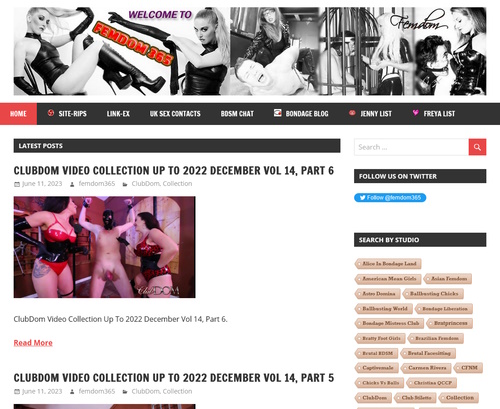 Review screenshot femdom365.net