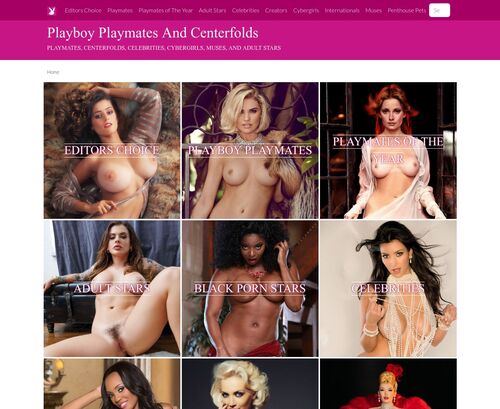 A Review Screenshot of Playboy Playmates