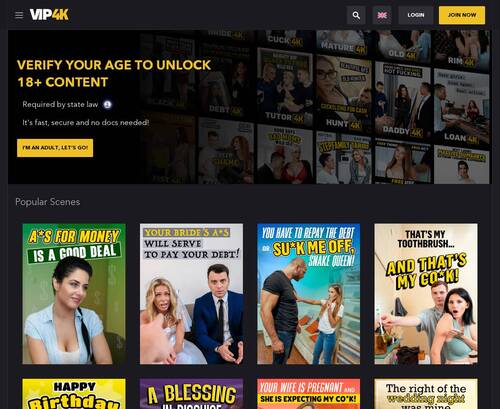 A Review Screenshot of Vip4k